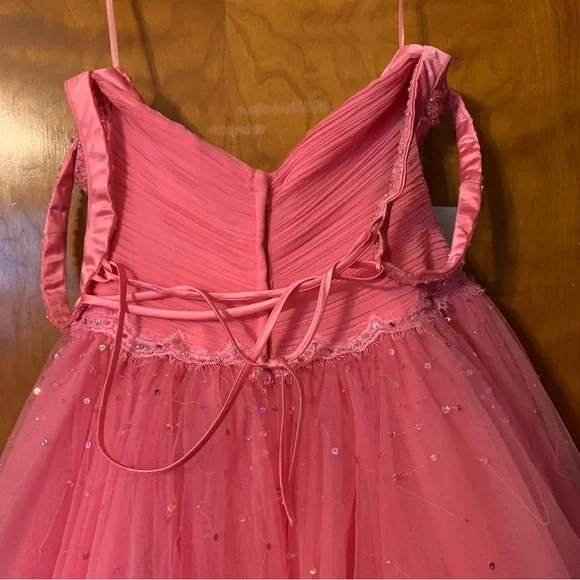 Alyce Designs pink prom dress - Picture 3 of 4
